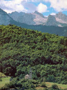 La chiesa e il bosco sopra il paese